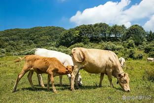 雷竞技电竞体验馆截图2