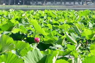 记者：主帅斗法斯卢茨基完胜 穆斯卡特有想法有追求但需交学费